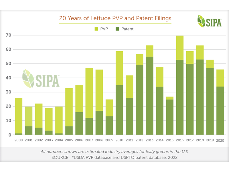 20 Years of Lettuce PVP and Patent Filings